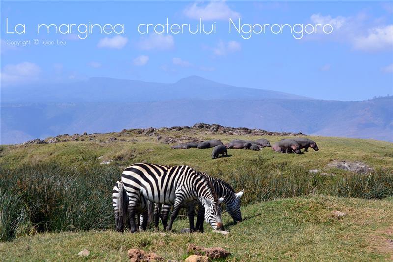 La marginea craterului Ngorongoro