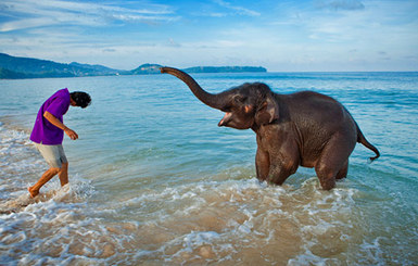 Angsana Laguna Phuket Elephant in water