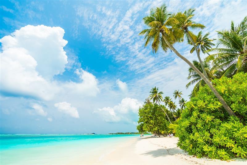 Can-sa-mergi-in-Maldive