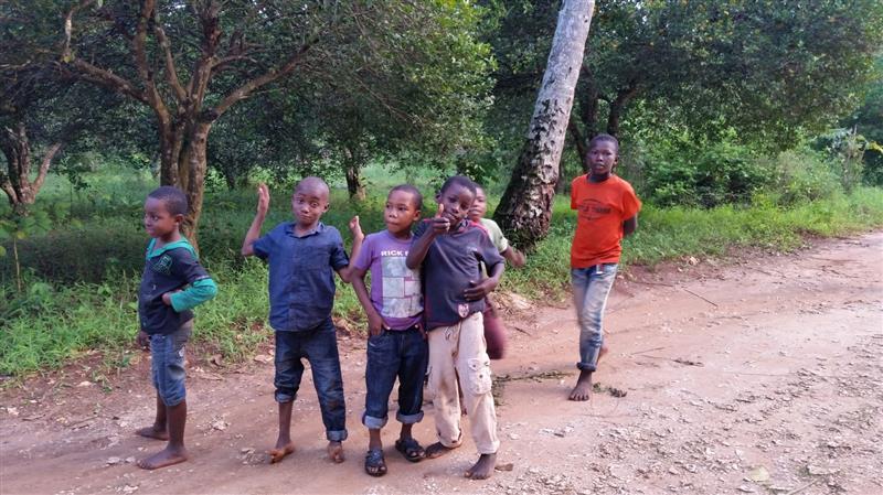 Copii Zanzibar