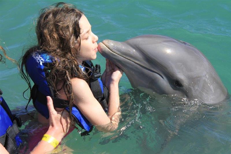 Inot cu delfinii Dominicana