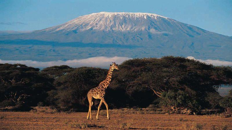 Muntele Kilimajaro