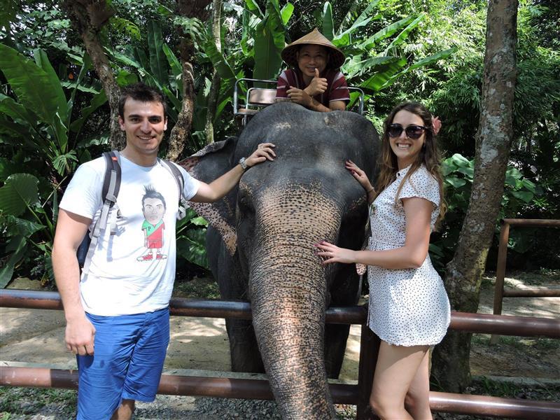 Plimbare cu elefantul Thailanda